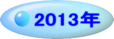 2013�N 